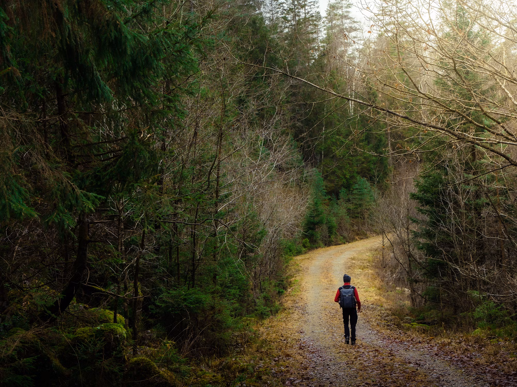 Exploring Urban Hiking: A New Perspective on City Walks